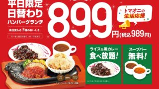 Affordable Weekday Hamburger Lunch at Tomato & Onion in Hyogo