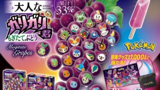 Limited Edition Pokemon-Themed GariGari-Kun Ice Pops Launch Nationwide in Japan