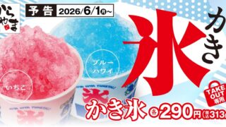 Limited-Time Shaved Ice at Karayama in Tokyo Starting June 1, 2026
