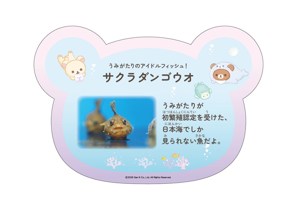 Rilakkuma Collaboration Event at Joetsu Aquarium in Niigata – photo 4