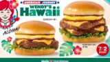american journey hawaiian loco moco burgers wendys first kitchen july 2 01