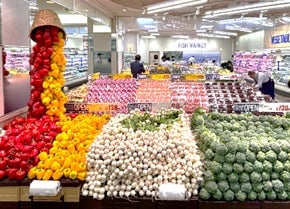 Store No. 4: Food Style Bunkyo Green Court Store