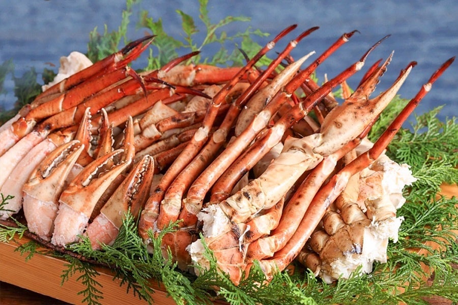 Snow Crab