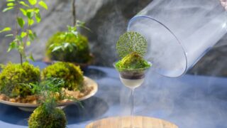 Hoshino Resorts’ Local Parfaits Across Japan — From June 1, 2026