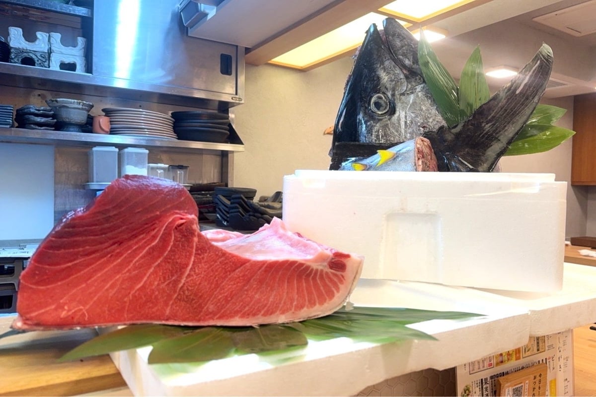 Iki Bluefin Tuna and Local Sake Fair at Sushi Sakaba Nihonichi Honmachi, Osaka From June 16