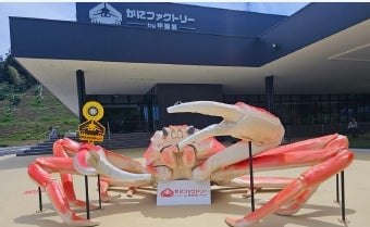 Photo spot in front of the entrance