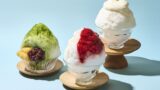 koe donuts kyoto summer kakigori 01