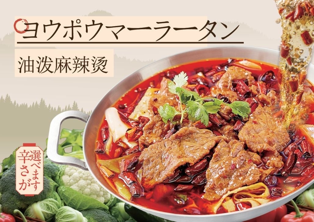 Youpo Mala Tang (spiciness adjustable, served with rice)