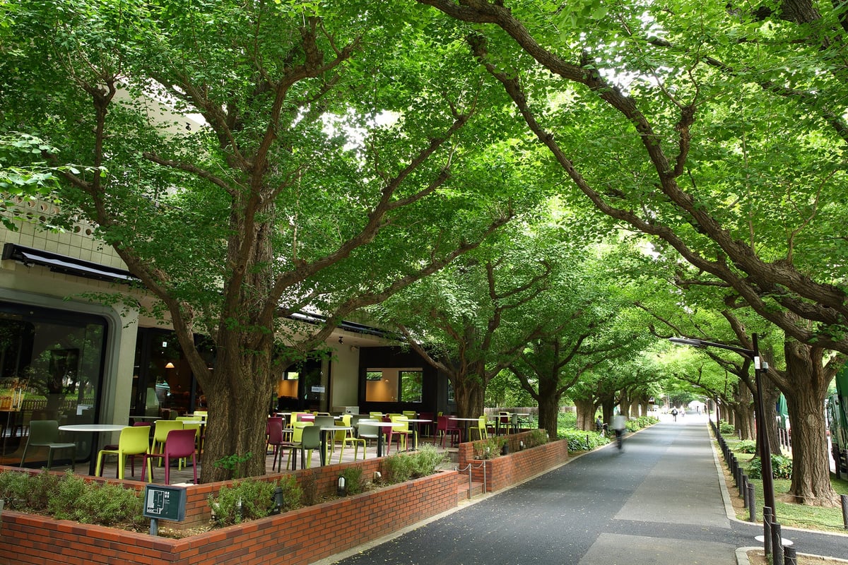 Melon-Themed Afternoon Tea and Dessert at KIHACHI Aoyama Main Store, Tokyo From June 18 – photo 9