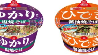 Mishima Yukari Salt Yakisoba and Hidiki Soy Sauce Yakisoba Nationwide Release from July 6, 2026