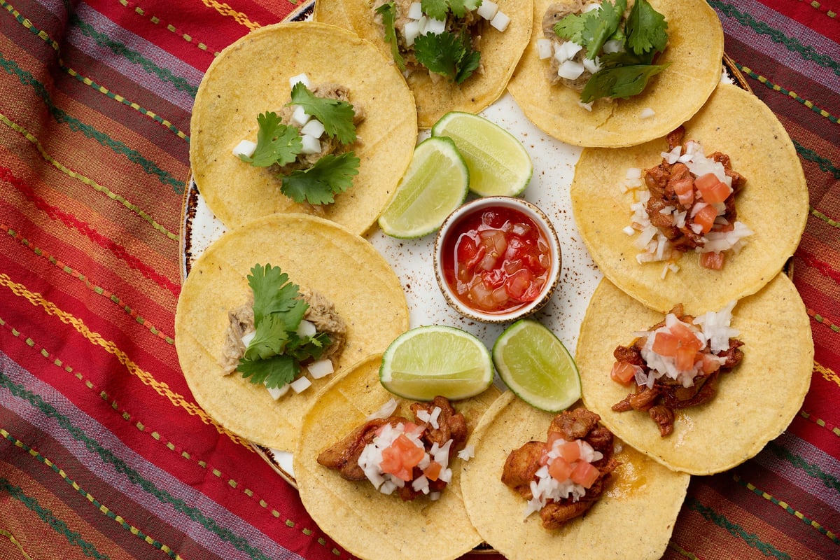 Experience Latin American Cuisine at NAMIKI667 Beer Terrace in Ginza from July 1