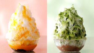 New Matcha Flavor Added to Premium Shinedo Kakigori in Chiba from July 1