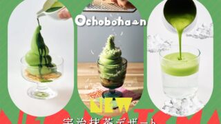 Ochobohan Cafe in Tokyo Launches All-Matcha Dessert Plate and Summer Soft Serve from June 1
