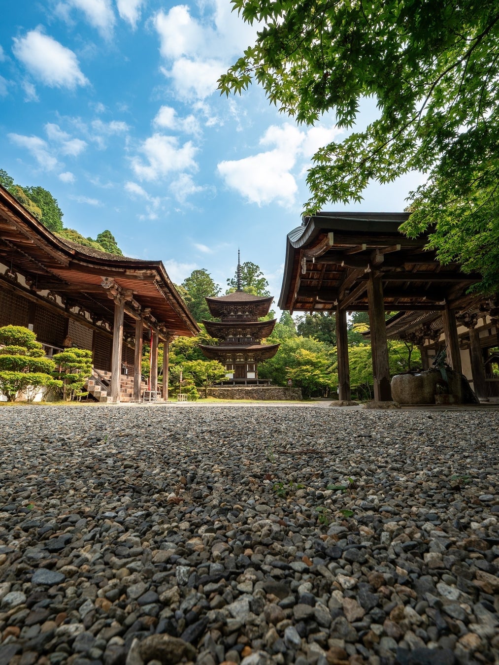 One-Day Cafe Kuro to Ku at Saisho-ji Temple, Koto Sanzan in Shiga Prefecture from July 5