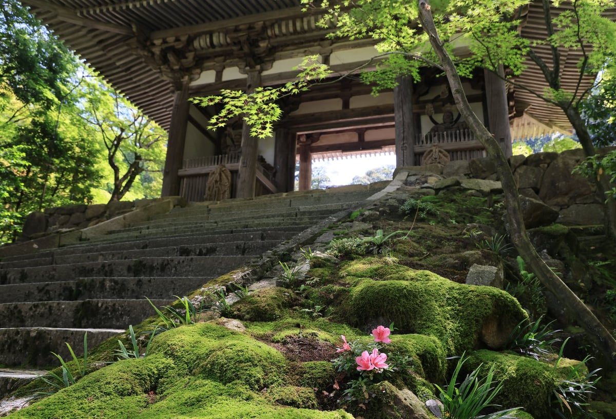 One-Day Cafe Kuro to Ku at Saisho-ji Temple, Koto Sanzan in Shiga Prefecture from July 5