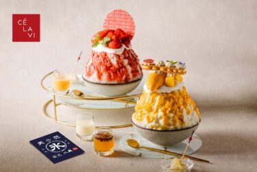 premium shaved ice yatsuyoshi celavi tokyo 01