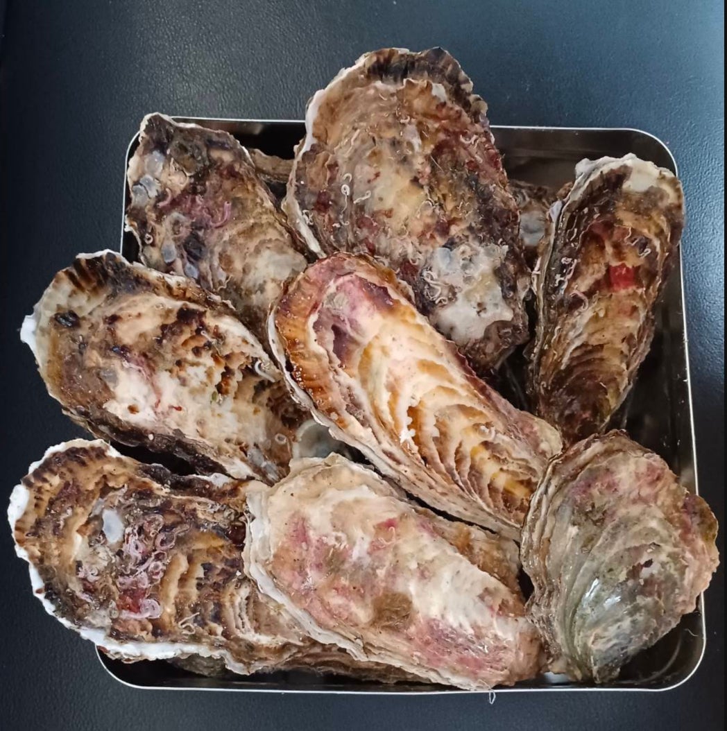 Seafood BBQ Event 'Umaka Ichiba' Launches in Osaka from June 6 – photo 8