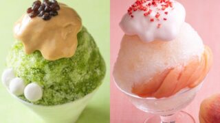 Seasonal Shaved Ice at Somerhouse Lounge, Yokohama Bay Hotel Tokyu from July 1