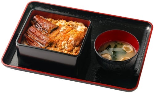 Unagi Katsu Toji Donburi