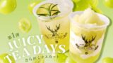 the alley juicy tea days summer 2026 01