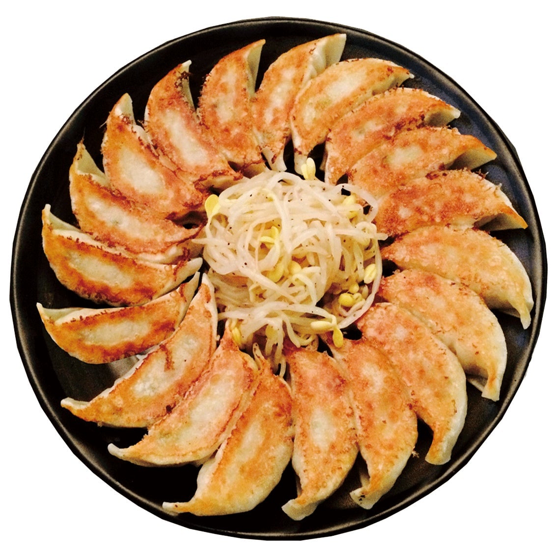 Enshu Hamamatsu Gyoza (10 pieces) — ¥1,080 (tax included)