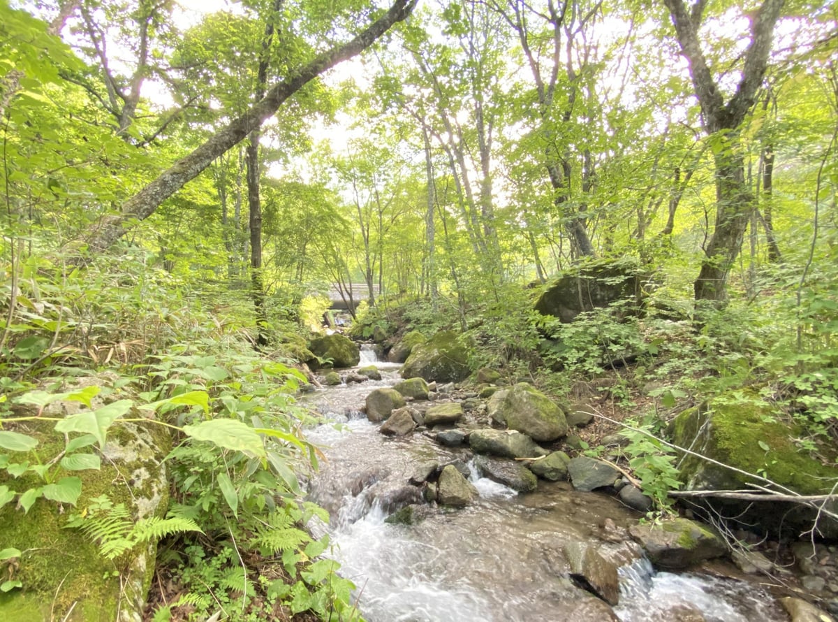 Cool summer in Tsumagoi Village (photo shows Kyukamura Tsumagoi-Kazawa grounds).