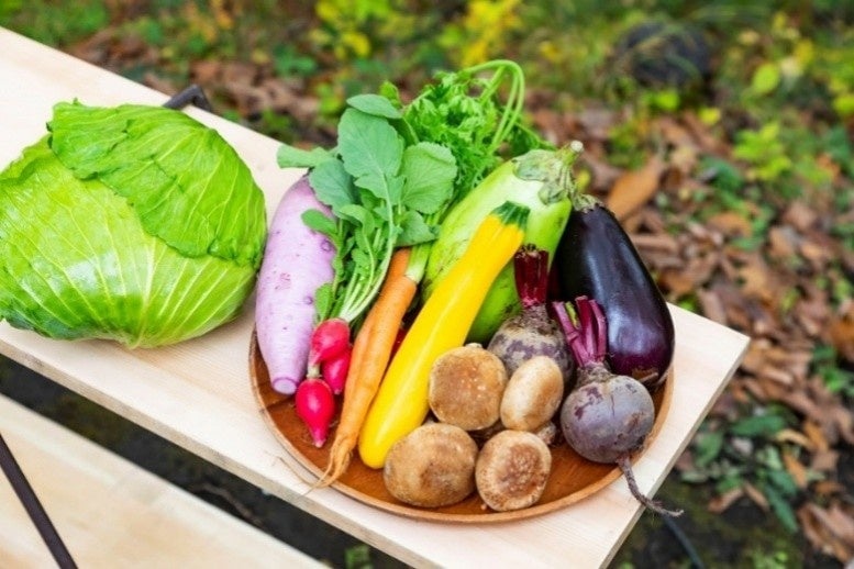 Delicious highland vegetables harvested in Tsumagoi Village.