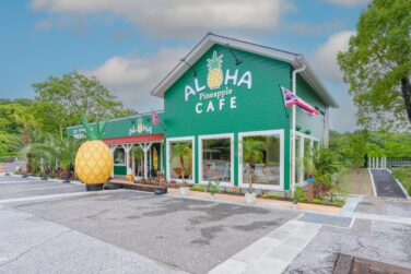 aloha cafe pineapple hattori ryokuchi park osaka 01