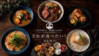 ANTIQUA TREE CAFE Revamps Menu with New Dishes and Favorites in Osaka