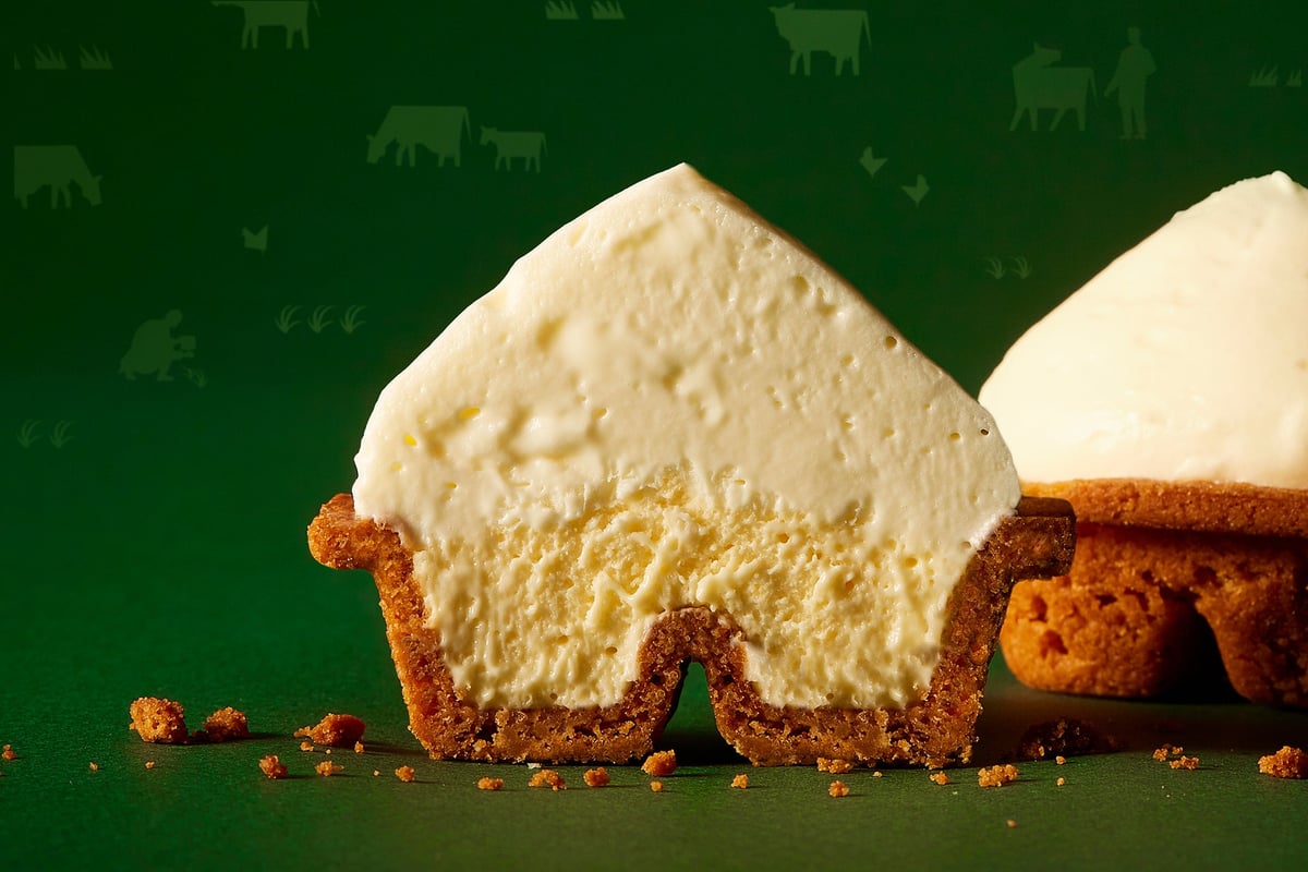 CHEESE WONDER Pop-Up Store Returns to Nagoya with Summer Limited Edition from July 22