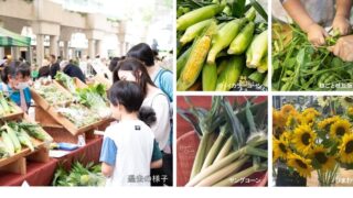Corn & Edamame Festival at Ark Hills, Tokyo — June 20