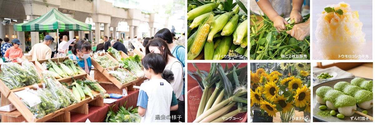 Corn & Edamame Festival at Ark Hills, Tokyo — June 20