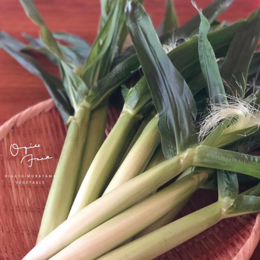 Corn & Edamame Festival at Ark Hills, Tokyo — June 20