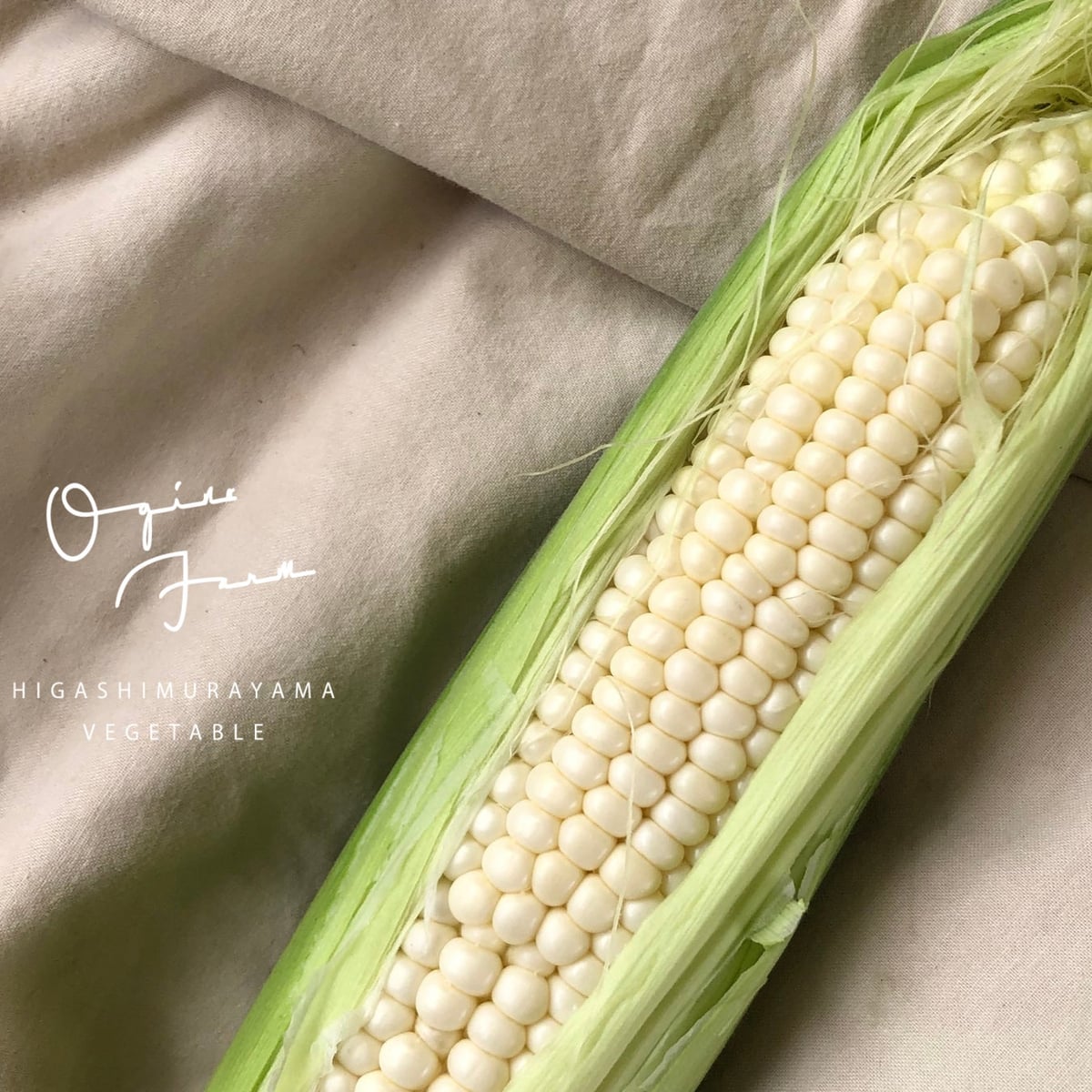 Corn & Edamame Festival at Ark Hills, Tokyo — June 20