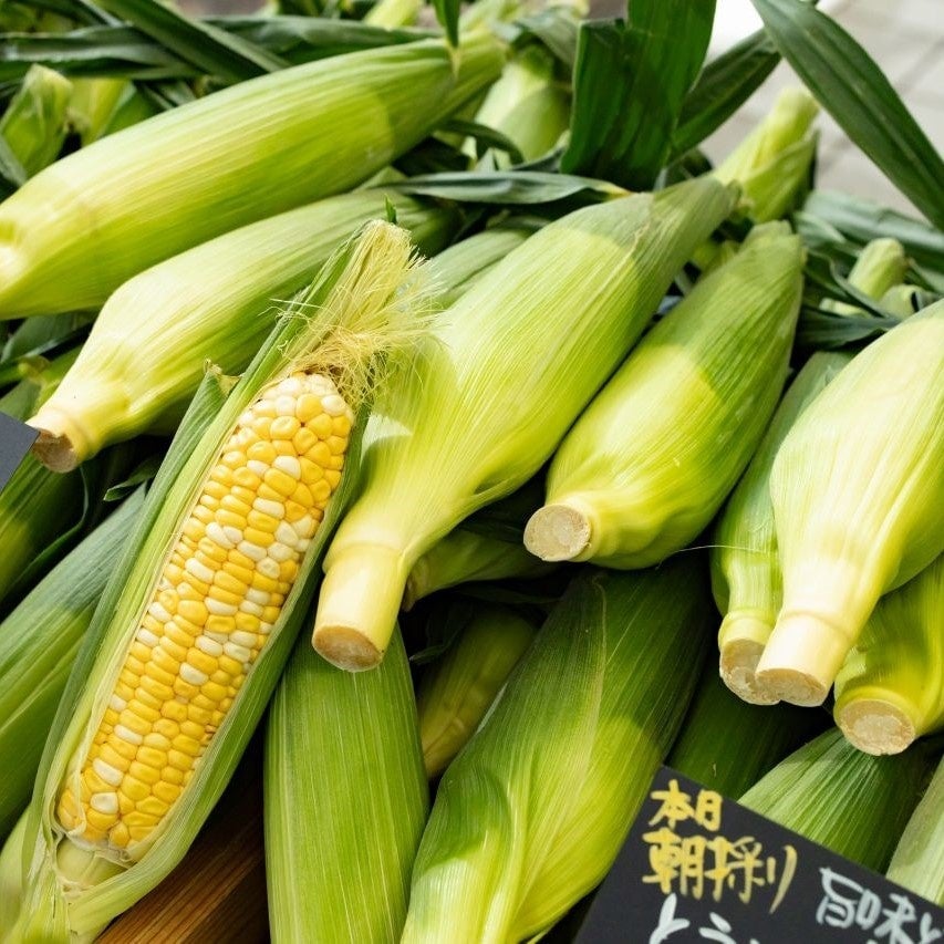 Corn & Edamame Festival at Ark Hills, Tokyo — June 20