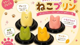 Cqree Launches New Matcha and Mango Flavors of Popular Neko Pudding in Japan July 10
