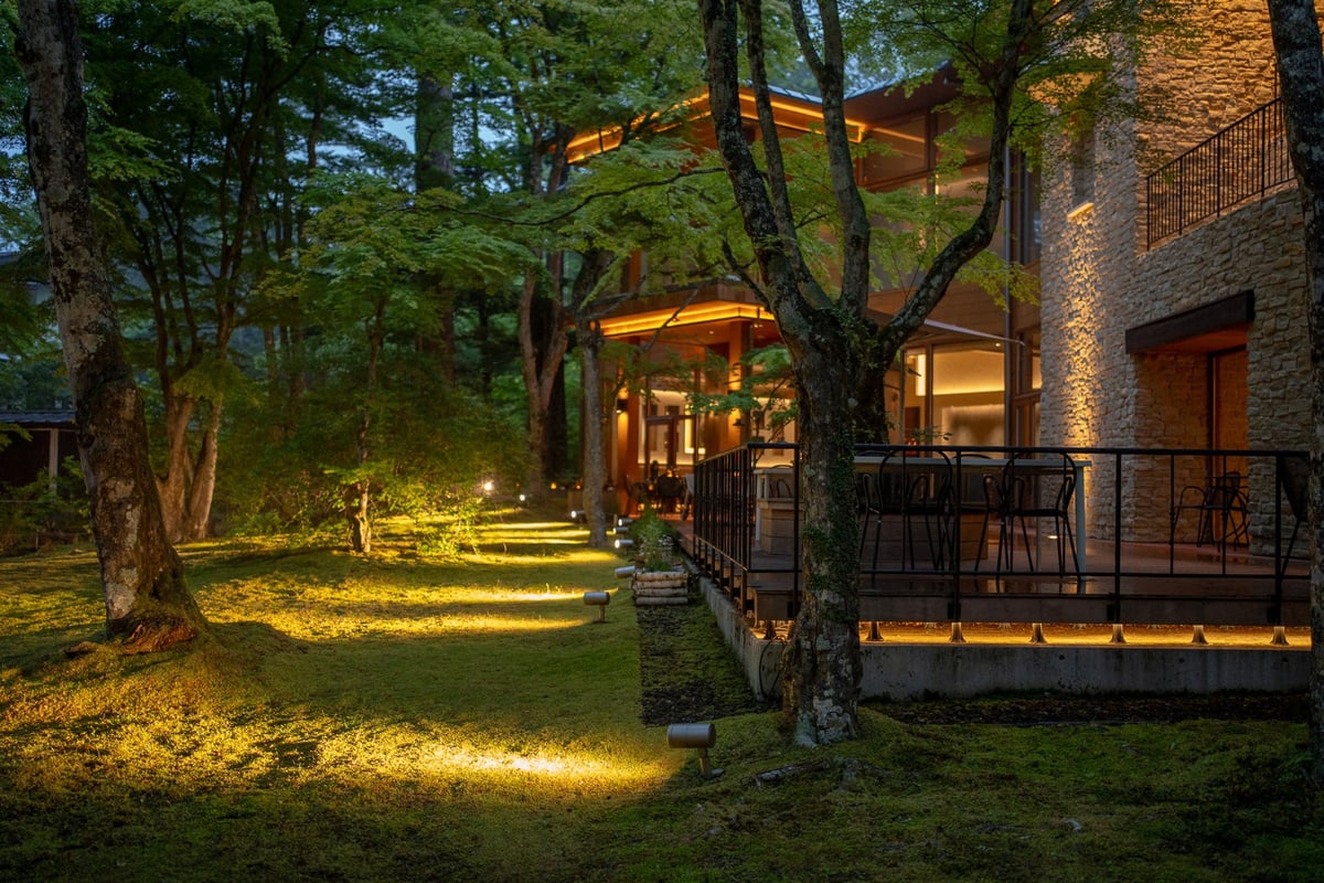 Moss garden around the time night begins