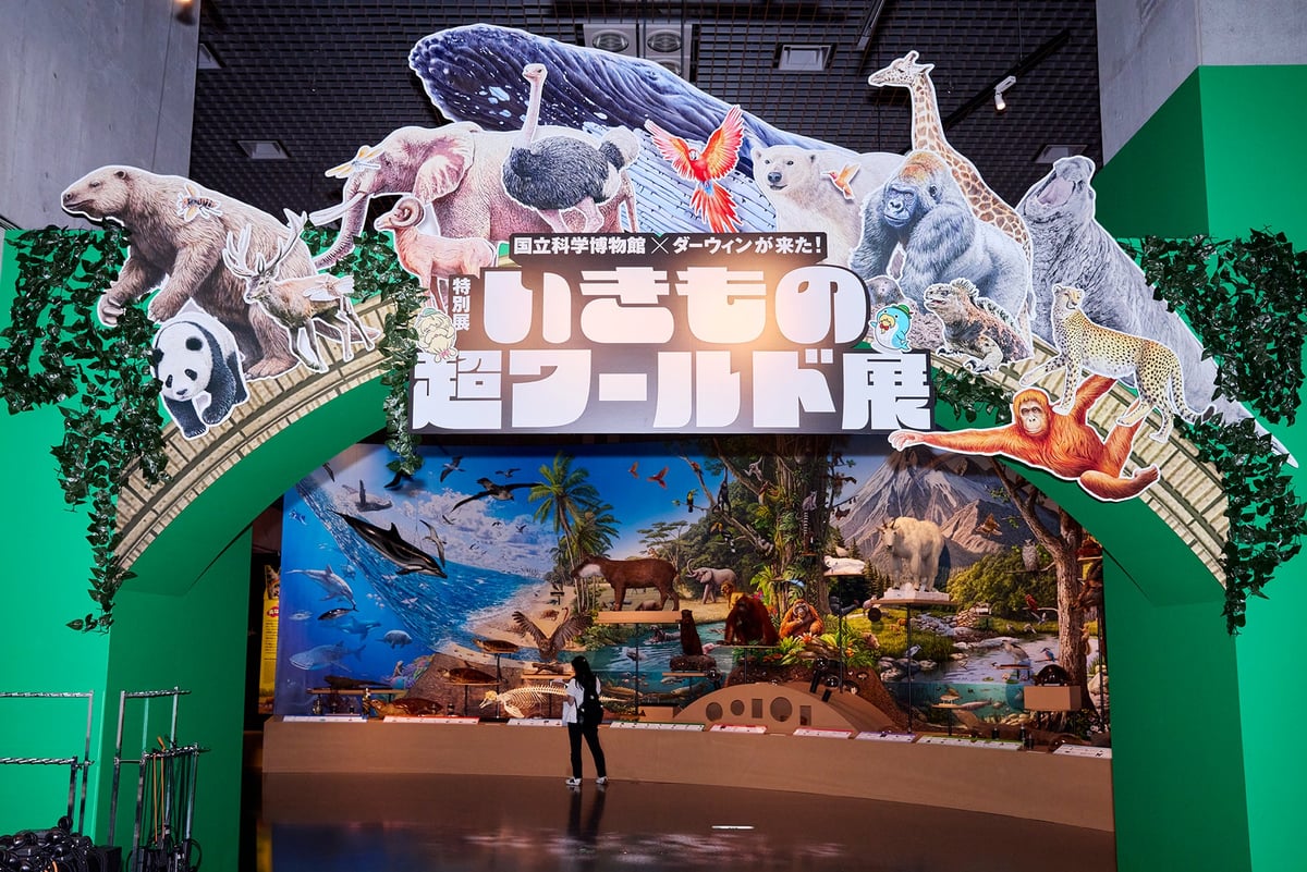 Animals illustrated by Kayo Yomoto, who also designed the cover of the encyclopedia, welcome visitors at the entrance.