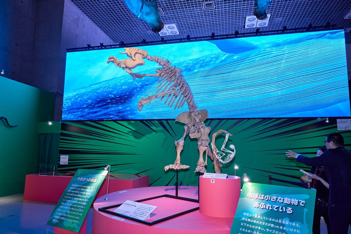 This is a replica skeleton of a Piraudiodon, a type of giant sloth. The appearance of the giant sloth is depicted in Kodansha's Moving Encyclopedia MOVE 'Darwin ga Kita! Earth-wide Living Creatures Encyclopedia,' which estimates what it looked like.