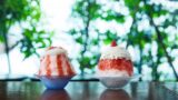 12 Unique Shaved Ice Flavors with Free Uji Hojicha Tea in Tokyo Ochobohan Shinjuku, chano-ma…