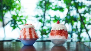 12 Unique Shaved Ice Flavors with Free Uji Hojicha Tea in Tokyo Ochobohan Shinjuku, chano-ma…