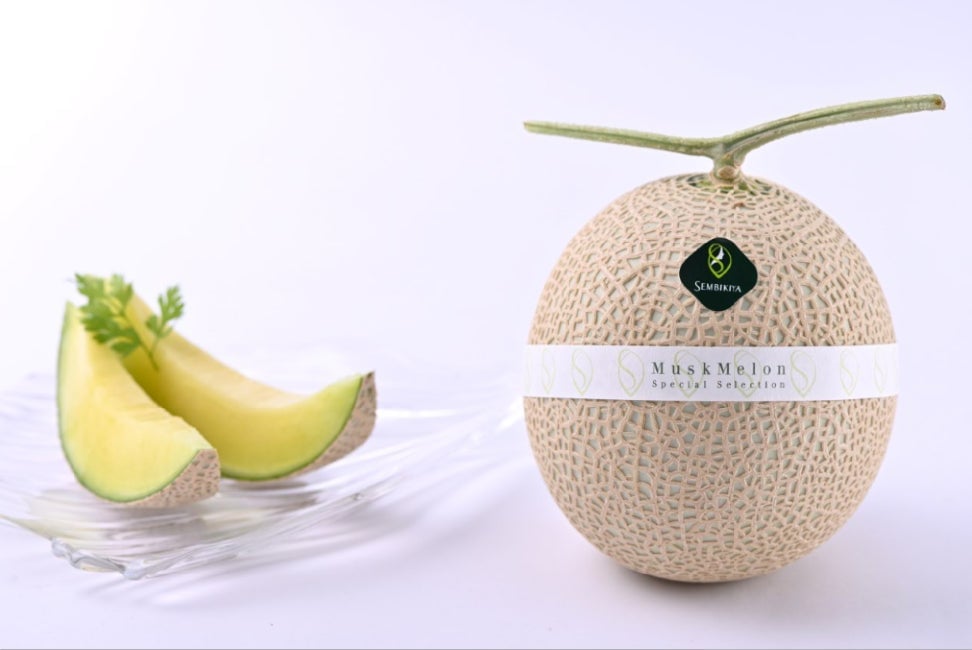 Experience Premium Fruit Desserts on the Fuji View Express with Senbikiya in Japan August 9