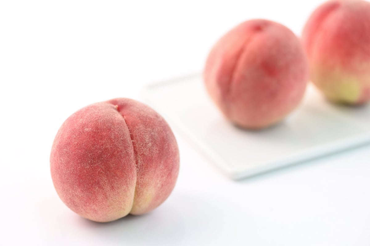 Experience Premium Fruit Desserts on the Fuji View Express with Senbikiya in Japan August 9