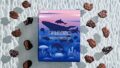 ginbis chocolate bank aquarium sweets nagoya 01