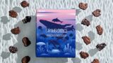 Ginbis and Chocolate Bank Launch Limited-Edition Aquarium-Themed Sweets in Nagoya July 31