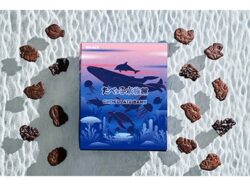 ginbis chocolate bank aquarium sweets nagoya 01