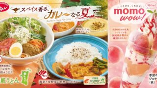 Jonathan in Japan Offers Free Soup or Salad with New Red Curry and Peach Parfait
