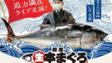kappa sushi live domestic bluefin tuna cutting show nagoya july 26 01
