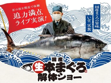 kappa sushi live domestic bluefin tuna cutting show nagoya july 26 01