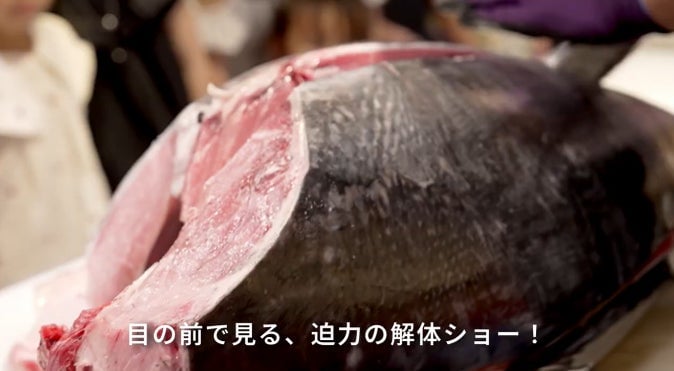 Kappa Sushi's Live Domestic Bluefin Tuna Cutting Show in Nagoya from July 26